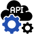 Custom API Development