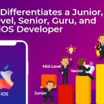 Roles, Responsibilities of iOS App Developers – Junior to Senior Level